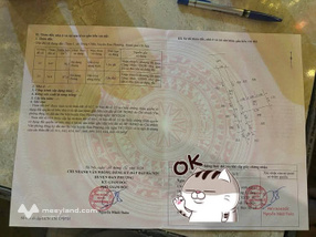 Cơ hội đầu tư hấp dẫn tại Đan Phượng, Hà Nội với lô đất 54.1m2