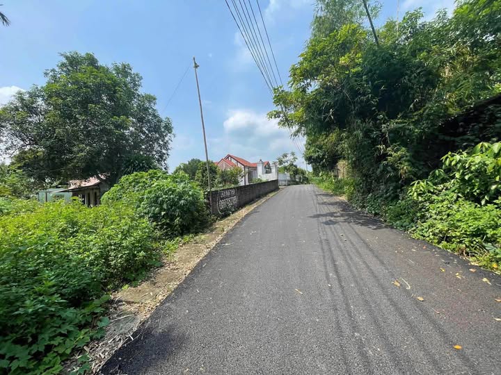 Đất Vĩnh Phúc 110m2, 80m thổ cư, đường thông tứ phía, giá chỉ 3xx triệu