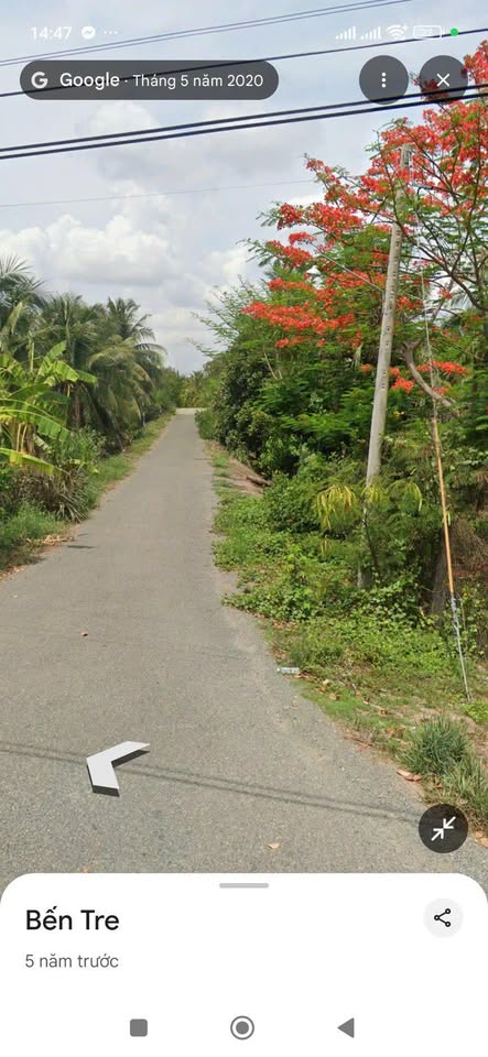 Bán đất vườn dừa 7500m2 mặt tiền đá lộ, giáp kênh tại Bến Tre