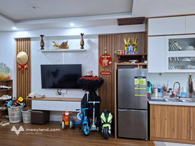 Bán căn hộ chung cư Tecco Bình Minh, 60m2, 2 phòng ngủ, ban công hướng Đông, view Vinhomes