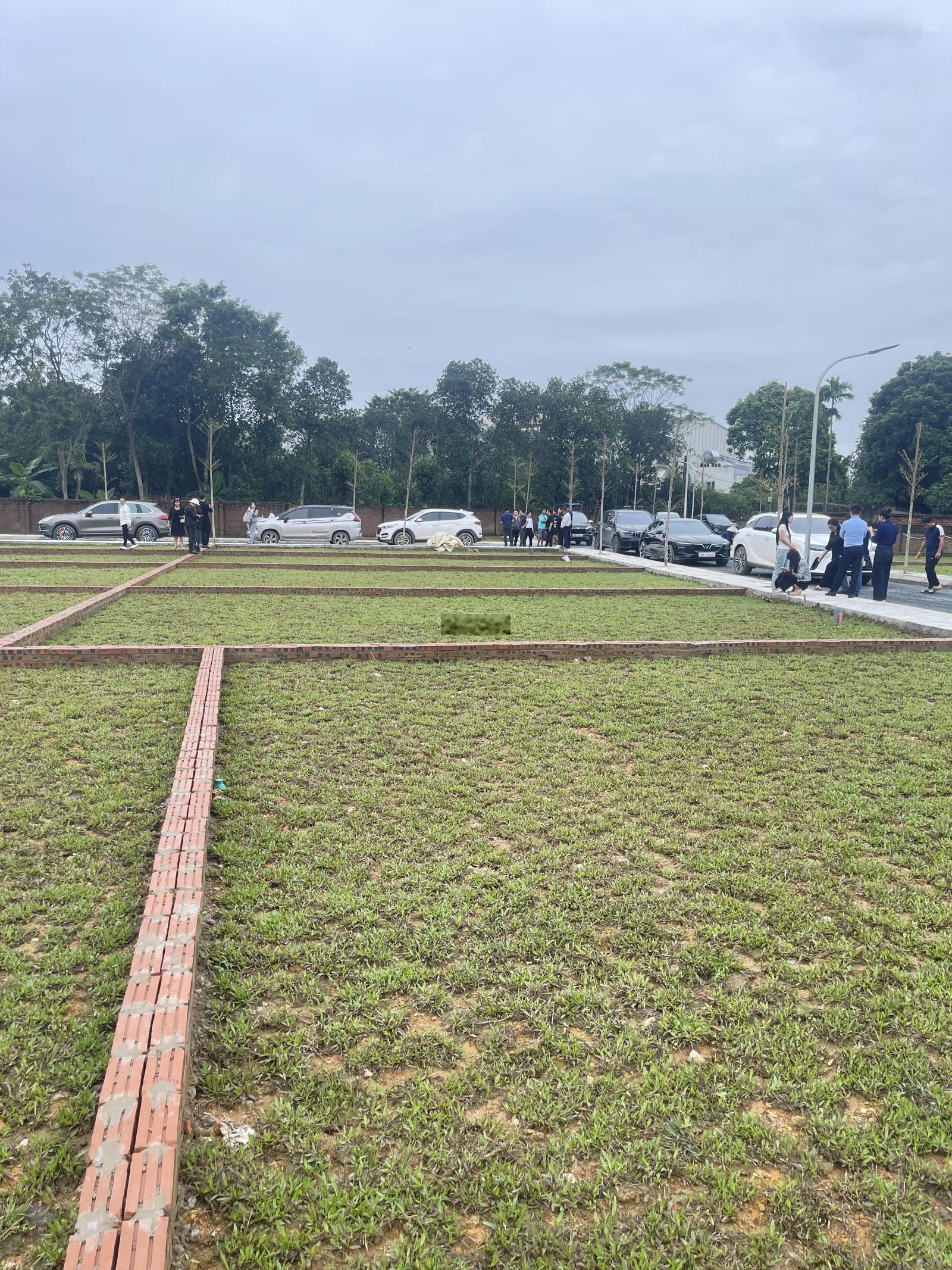 Ra mắt khu 29 lô Vai Réo, trung tâm Hòa Lạc, giá F0 full thổ cư cách QL21 chỉ 300m