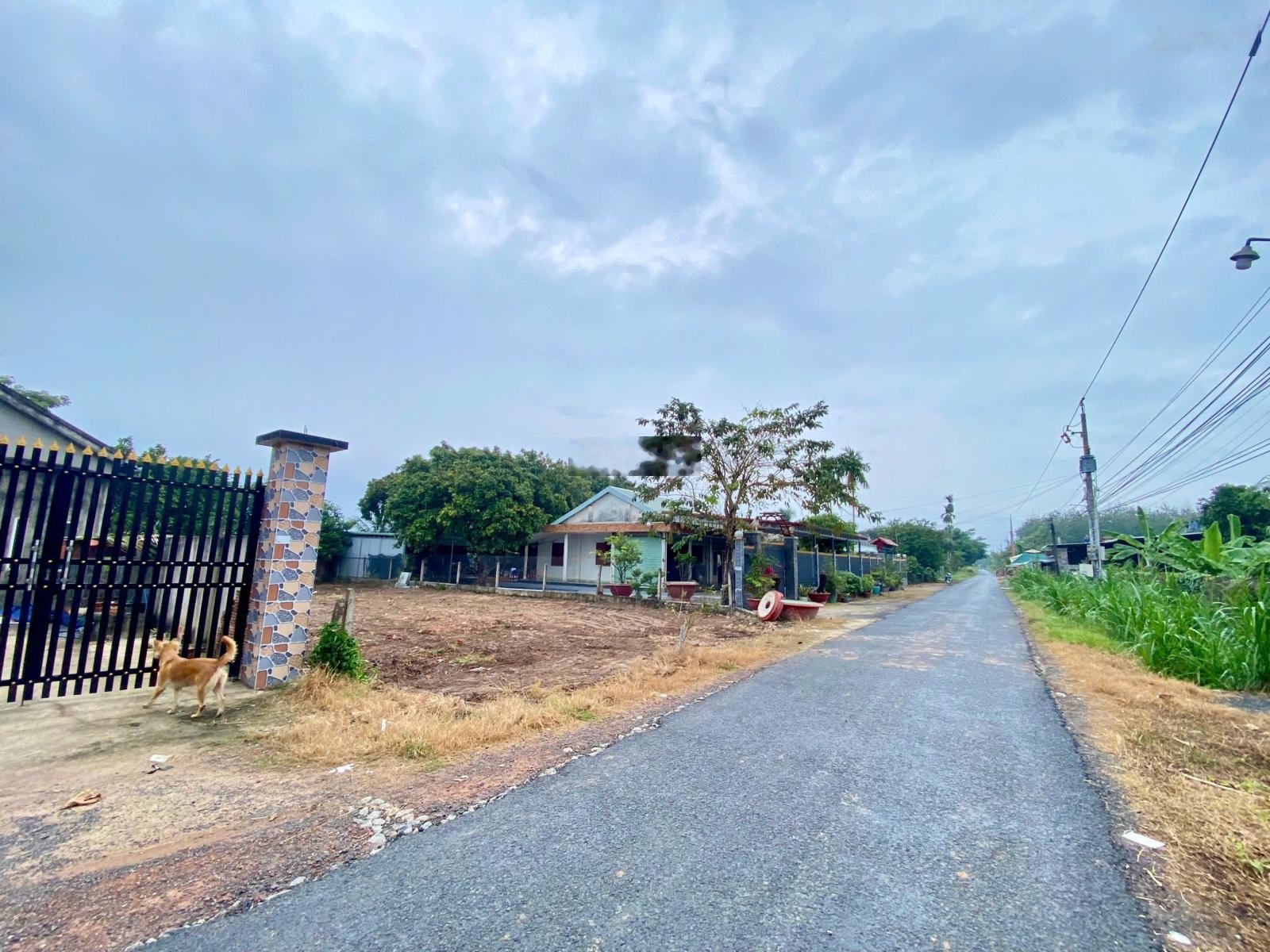 Chủ cần bán gấp đất thổ 900tr sổ sẵn 94m2 ngay TT Trảng Bàng, Tây Ninh - SHR