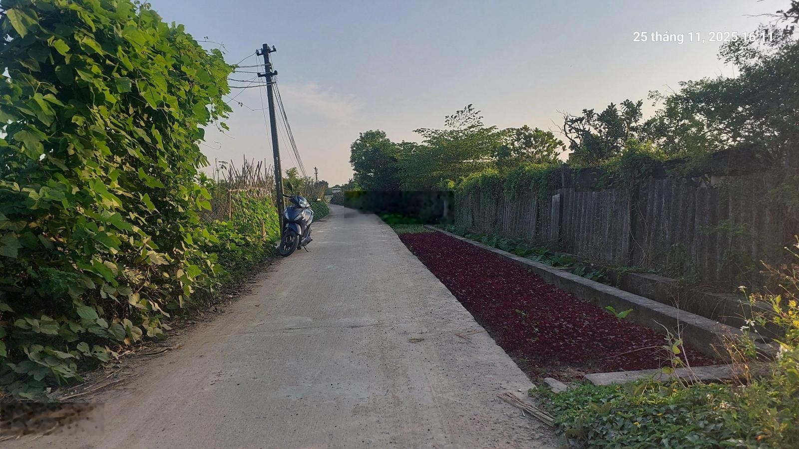 Đất ruộng Nam Hồng, Đông Anh, 40 000m2, MT khoảng 300m. 420 triệu/ sào