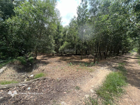 Chính chủ cho thuê đất 5.104m2 tại Tân Thành, Phú Mỹ, Bà Rịa Vũng Tàu - Gần QL51 & Cảng Cái Mép