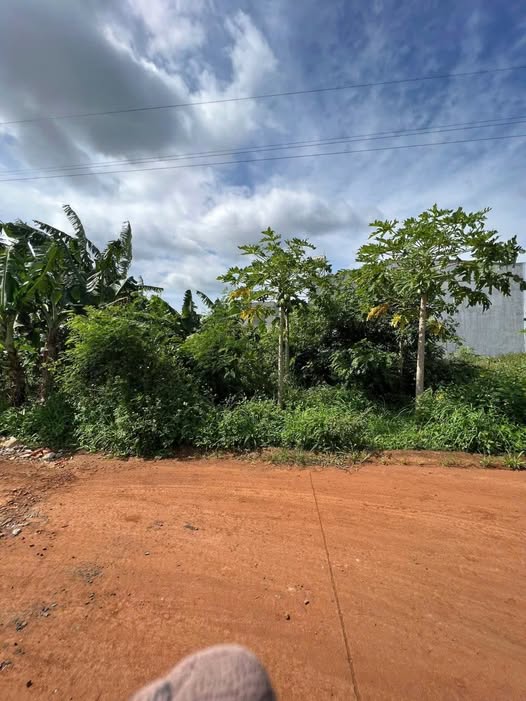 Bán đất hẻm Nguyễn Tri Phương, Đắk Lắk 126m², 2,05 tỷ