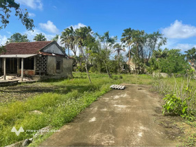 Đất nền Kinh Nam, Hà Tĩnh 201m2 hướng Đông Nam, giá nhỉnh 1.6 tỷ - Cơ hội đầu tư sinh lời