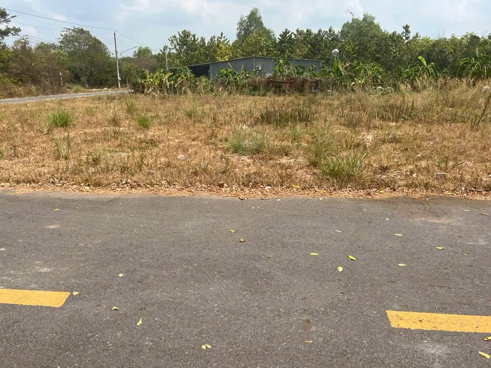 Đất nền 5m x 23m, 80m2 thổ cư, đường nhựa thông, giá chỉ 790 triệu