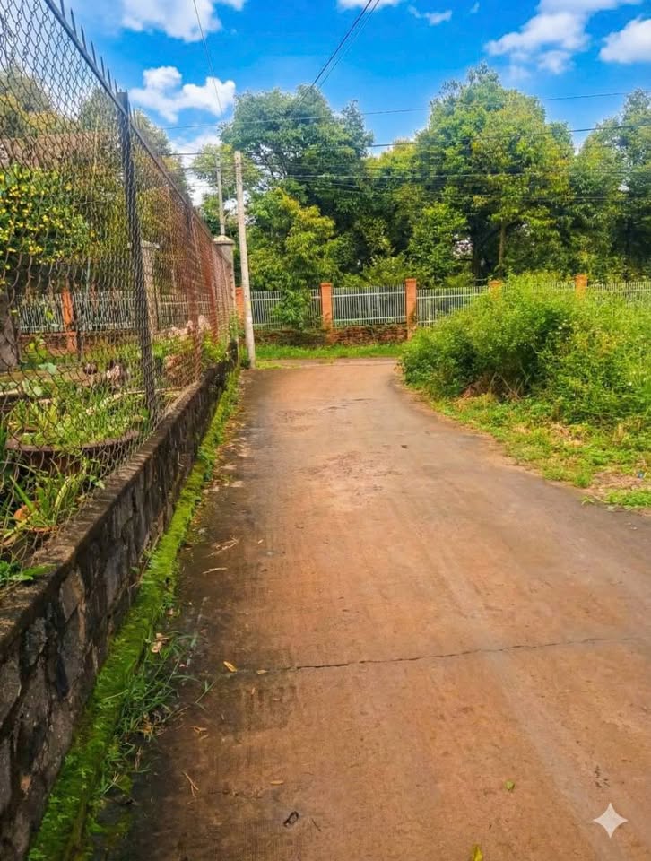 Đất vàng Biên Hòa 450 triệu có ngay sổ riêng, dân cư đông đúc