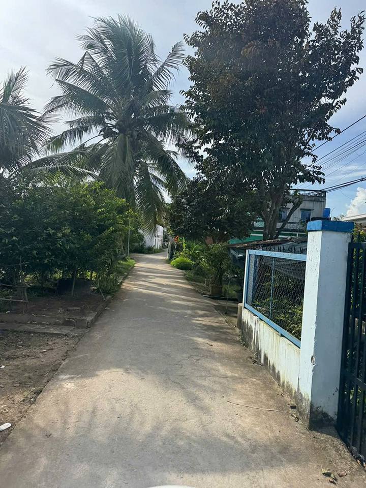 Nhà mặt tiền Tài Văn đậu xe hơi, sân vườn chill, giá yêu thương