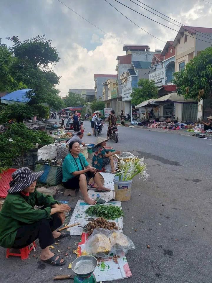 Bán đất Liên Phương, Hưng Yên - 187m2, mặt tiền 5m, gần chợ, tiện ích đầy đủ