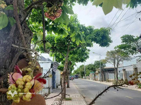 Vườn xinh xắn, đất rộng mênh mông, sổ hồng sẵn sàng, alo là có