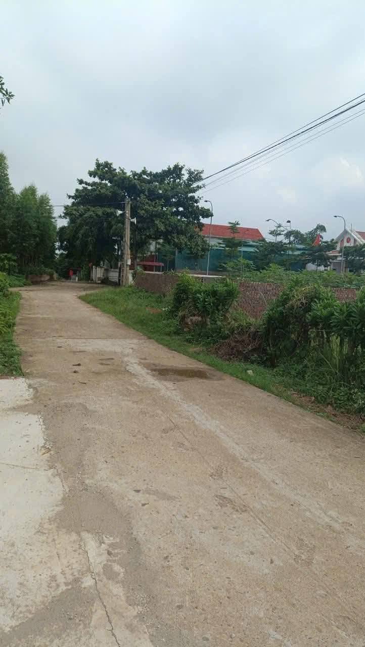 Đất thổ cư Tam Nông, Phú Thọ - Vị trí đắc địa, sinh lời cao