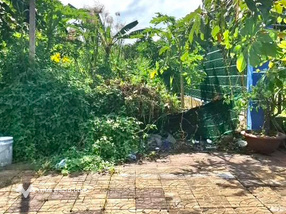 Giao dịch đất nền khu dân cư phường Vị Tân, Cần Thơ