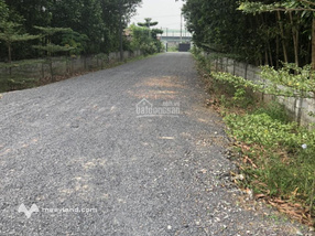 Cho thuê kho xưởng 15.000m² tại xã Long An, Long Thành, Đồng Nai giá chỉ 50 triệu/tháng