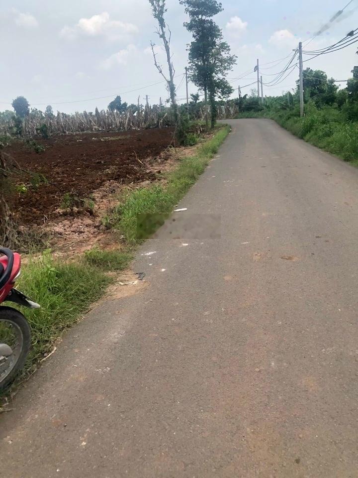 Đất mặt tiền đường nhựa có thổ cư sẵn 300m giá 2.5tr/m2 ở Trảng Bom gần khu CN cách Biên Hoà 20km