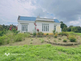 Homestay vườn trái cây Lộc Thành, Bảo Lâm, view núi 7317,6m2 (37mx187m) - thổ cư 200m2 - đường ô tô