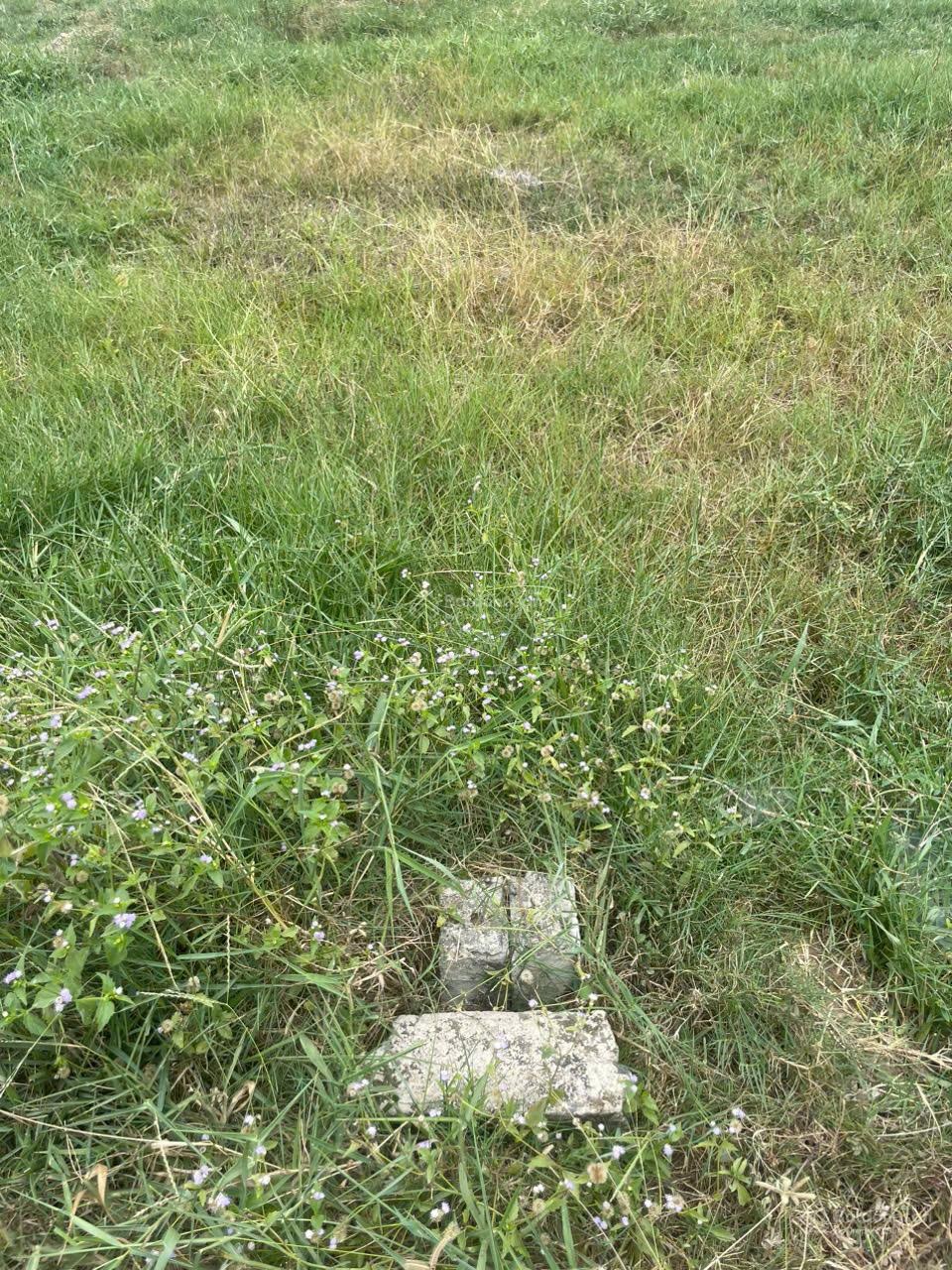 Ngộp bank cần bán gấp Thửa đất 1851, tờ bản đồ số 5 tại xã Long Cang, huyện Cần Đước, tỉnh Long An