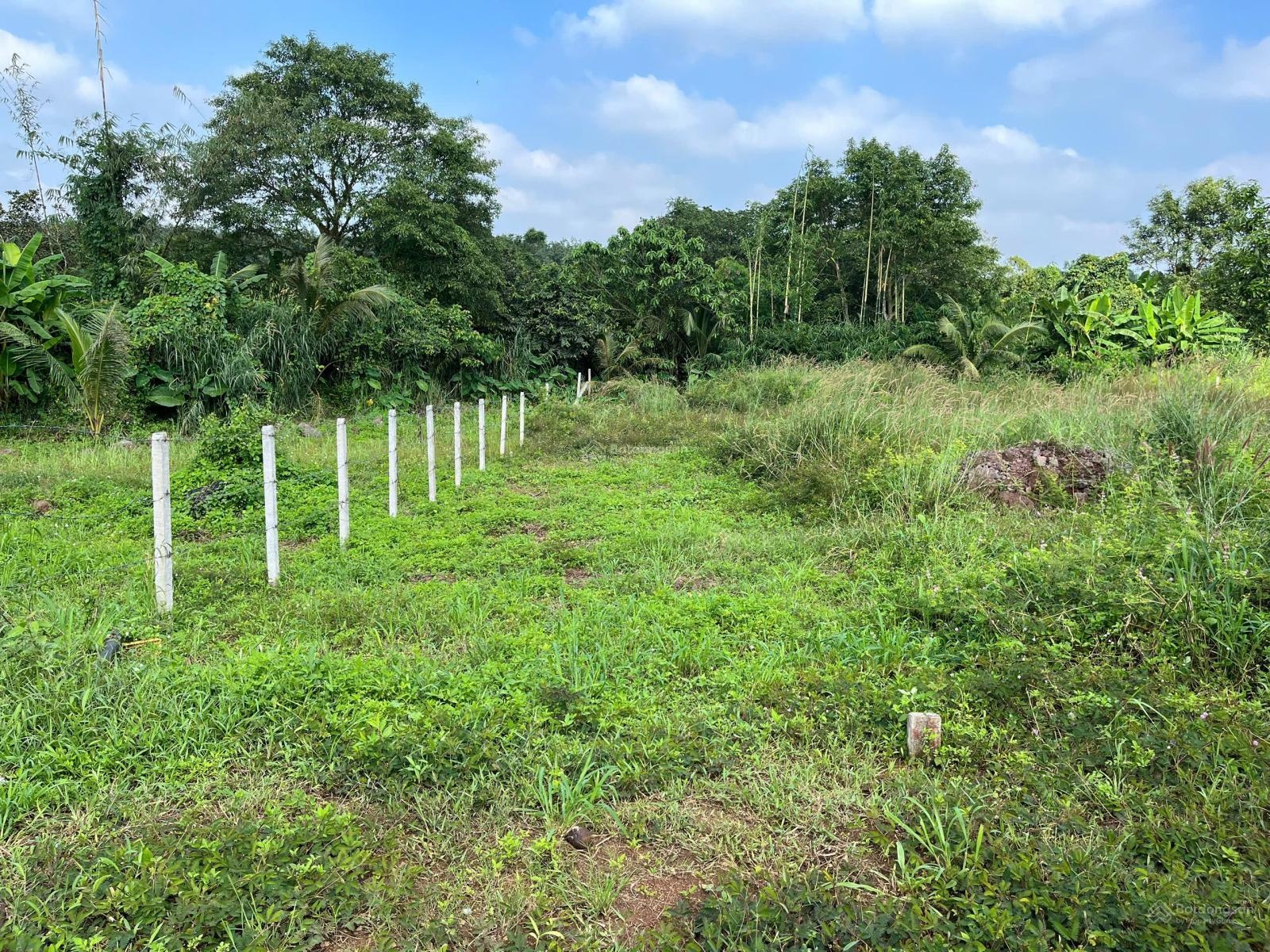 Cần bán đất diện tích tổng 525m², hơn 200m² thổ cư gần sân bay Long Thành