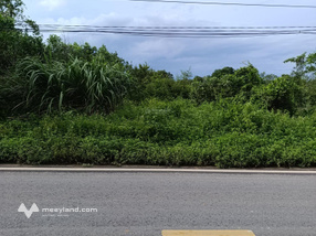 Chính chủ bán 100m đất giáp Chùa Bái Đính, Tàn Kinh Các