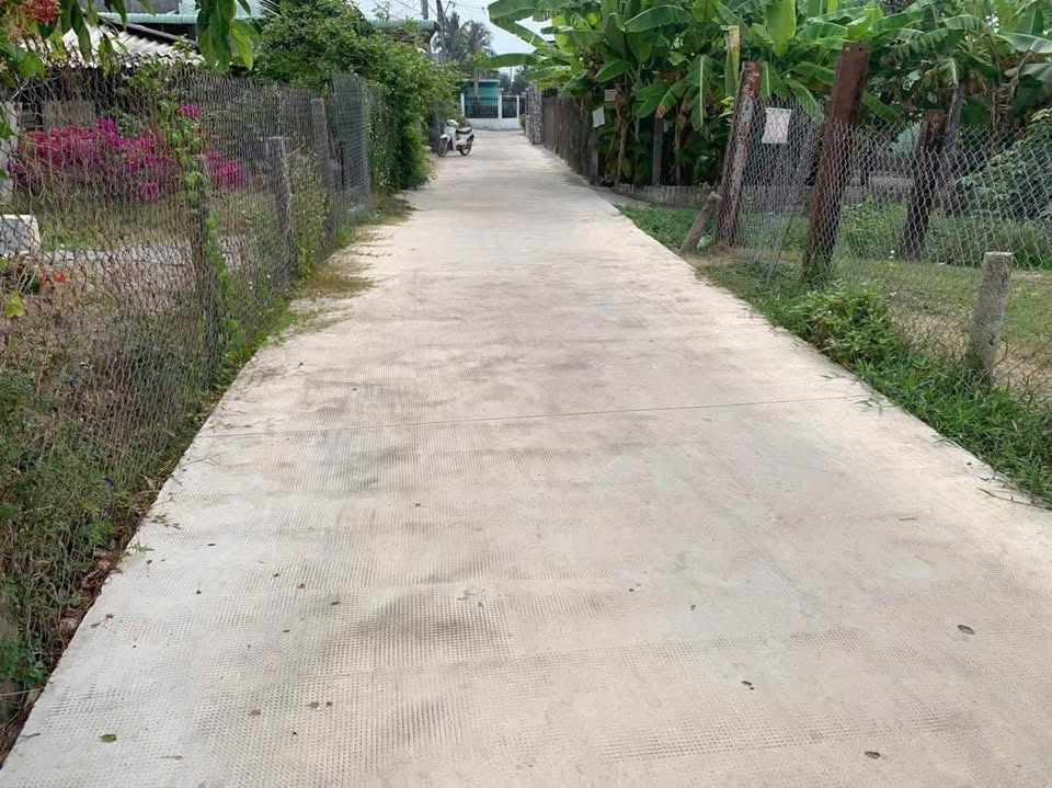 Miếng đất xưa ven Long An, đường xe tải, giá mềm