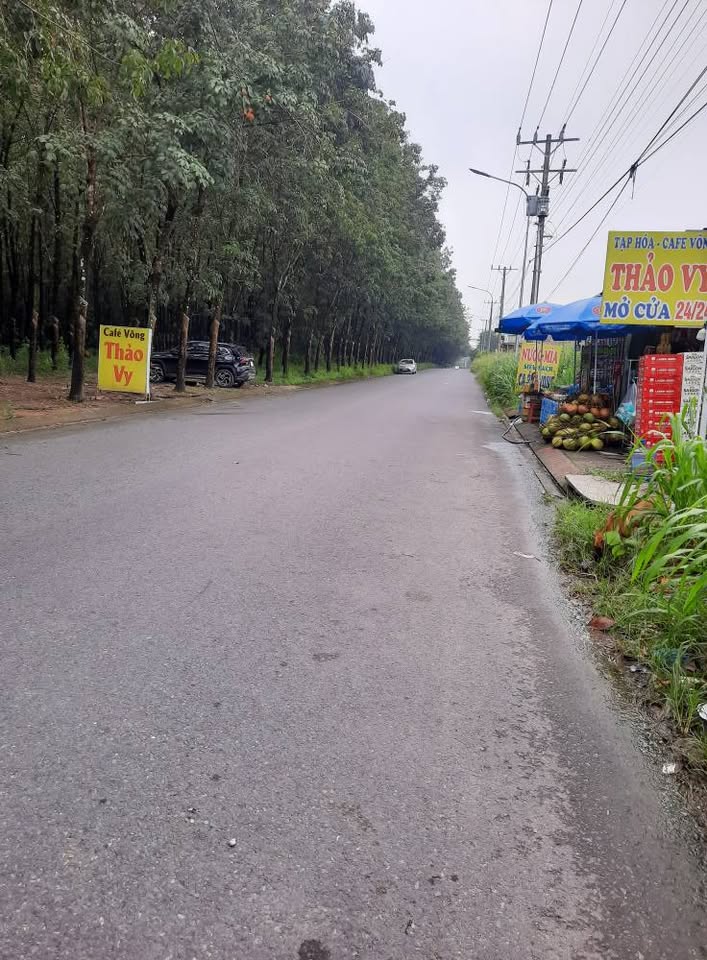 Đất vàng Lai Uyên, cơ hội đầu tư sinh lời vượt trội