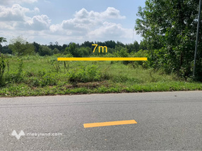 Mảnh đất vàng mặt tiền Tỉnh Lộ 622C - Cơ hội kinh doanh đắc lợi