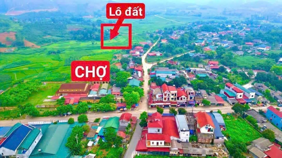 Đất view đẹp, ô tô tránh, giá hời cơ hội có 1-0-2