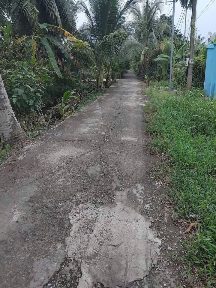 Bến Tre đất nền vàng mặt tiền lộ Bót, giá hời 350 triệu