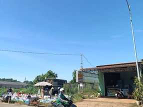 Bán đất vàng Đắk Nông, cơ hội kinh doanh sinh lời vượt trội