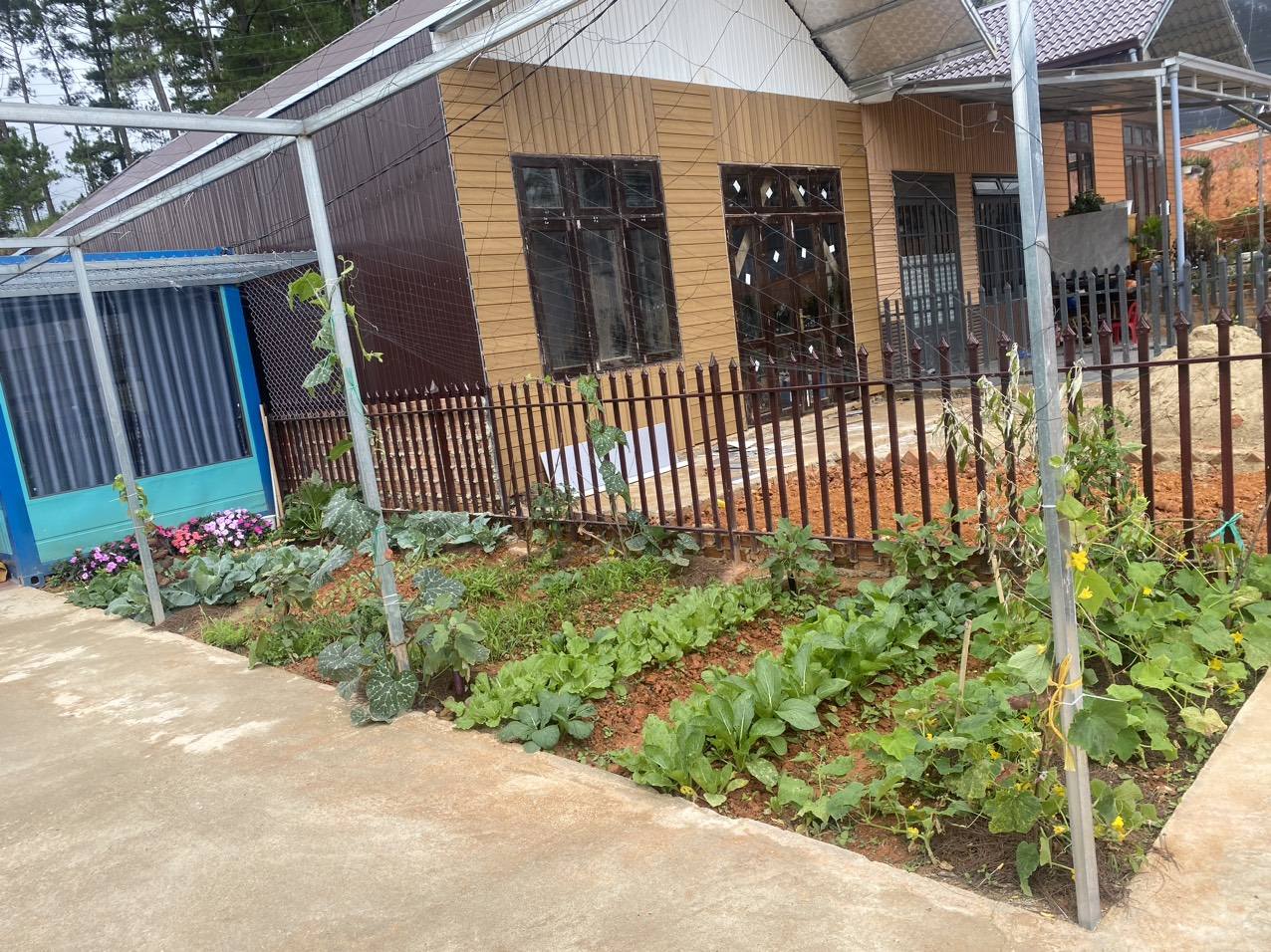 Nhà Đà Lạt 120m2, view đồi thông, 750 triệu có sân vườn chill