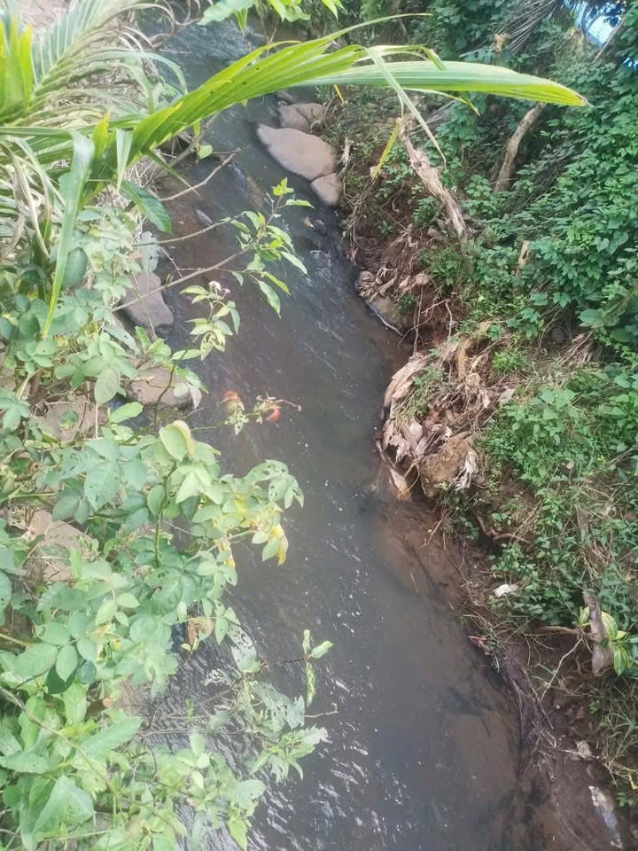 Bán 1 sào đất vườn trồng cây ăn trái tại xã Hưng Lộc, huyện Thống Nhất, tỉnh Đồng Nai