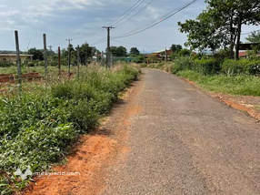 Đất vàng Chư Sê 1100m2 ôm đường nhựa, sổ hồng sẵn sàng