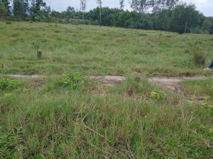 Bán đất thổ cư 125m2 sổ hồng sẵn sàng tại Duy Hòa, Đà Nẵng