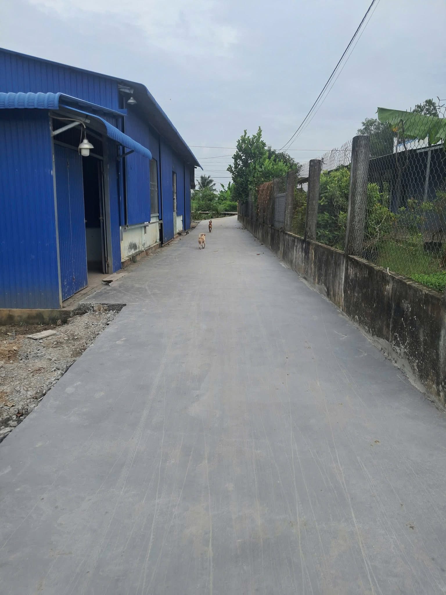 Bán đất nền 108m2 mặt tiền 6m gần Quốc Lộ 50, Tiền Giang