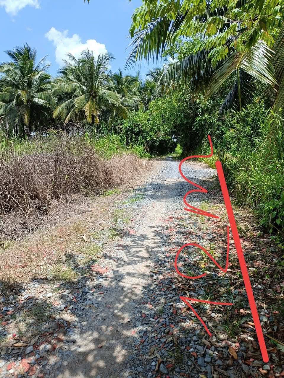 Đất Bến Tre 265m2 nở hậu, giá sốc 440 triệu, mua nhanh kẻo hết