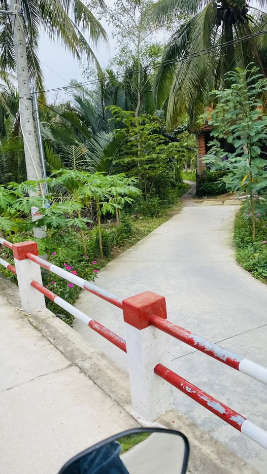 Bán đất tặng nhà cũ 778m2 tại Bến Tre chỉ 790 triệu