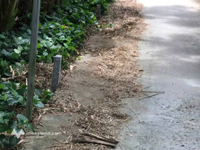 Bán đất thuộc ấp Thới Trung, xã Cờ Đỏ, thành phố Cần Thơ, giá 500 triệu