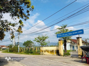 Chủ nhà "thả thính" miếng đất 800m2 trồng cây siêu đẹp tại Bình Thành, Tây Sơn, Bình Định đây ạ