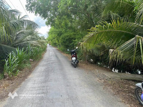 Bán đất vườn trồng bưởi 5373m² mặt tiền 61m tại Chợ Gạo, Tiền Giang