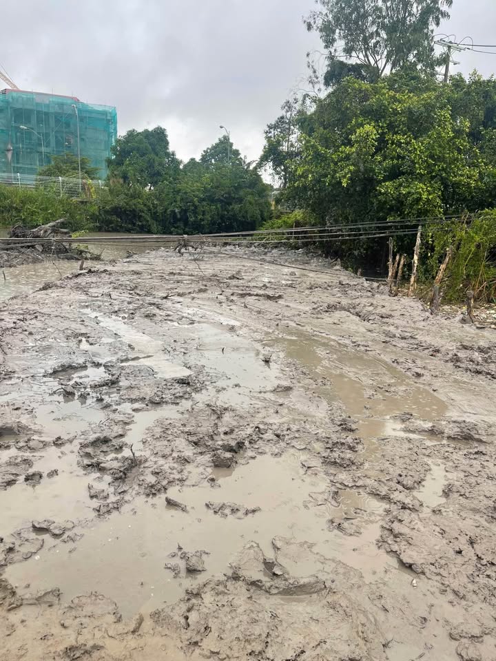 Bán nền mặt tiền đường Lý Văn Lâm, Cà Mau, diện tích 6m x 44m, giá 1,35 tỷ