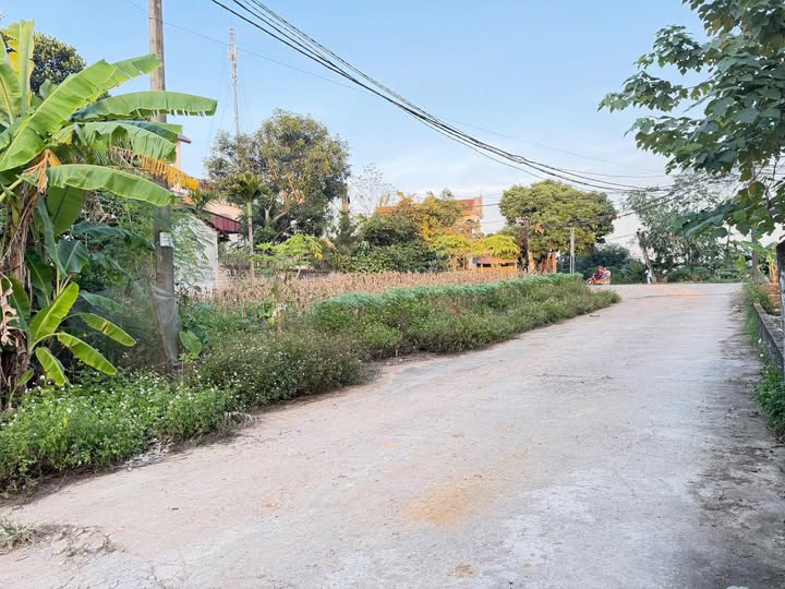 Đất vàng Lầm Lỗ, Việt Trì 173m2 vuông vắn, mặt tiền 9m, giá hời