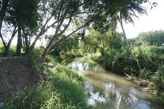 Đất view Hồ Trị An, 1000m2 đất đỏ bazan, 1 tỷ/sổ, ô tô tận nơi