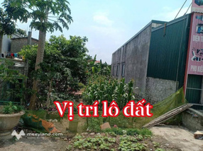 Đất vàng Quốc lộ 1A, Hà Nam 85m² nở hậu, giá "hời" cho nhà đầu tư
