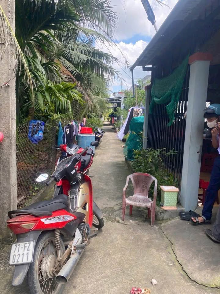 Sở hữu ngay 2 nền đất cây lâu năm liền kề, mỗi nền rộng 69,7m2 với chiều ngang 5m