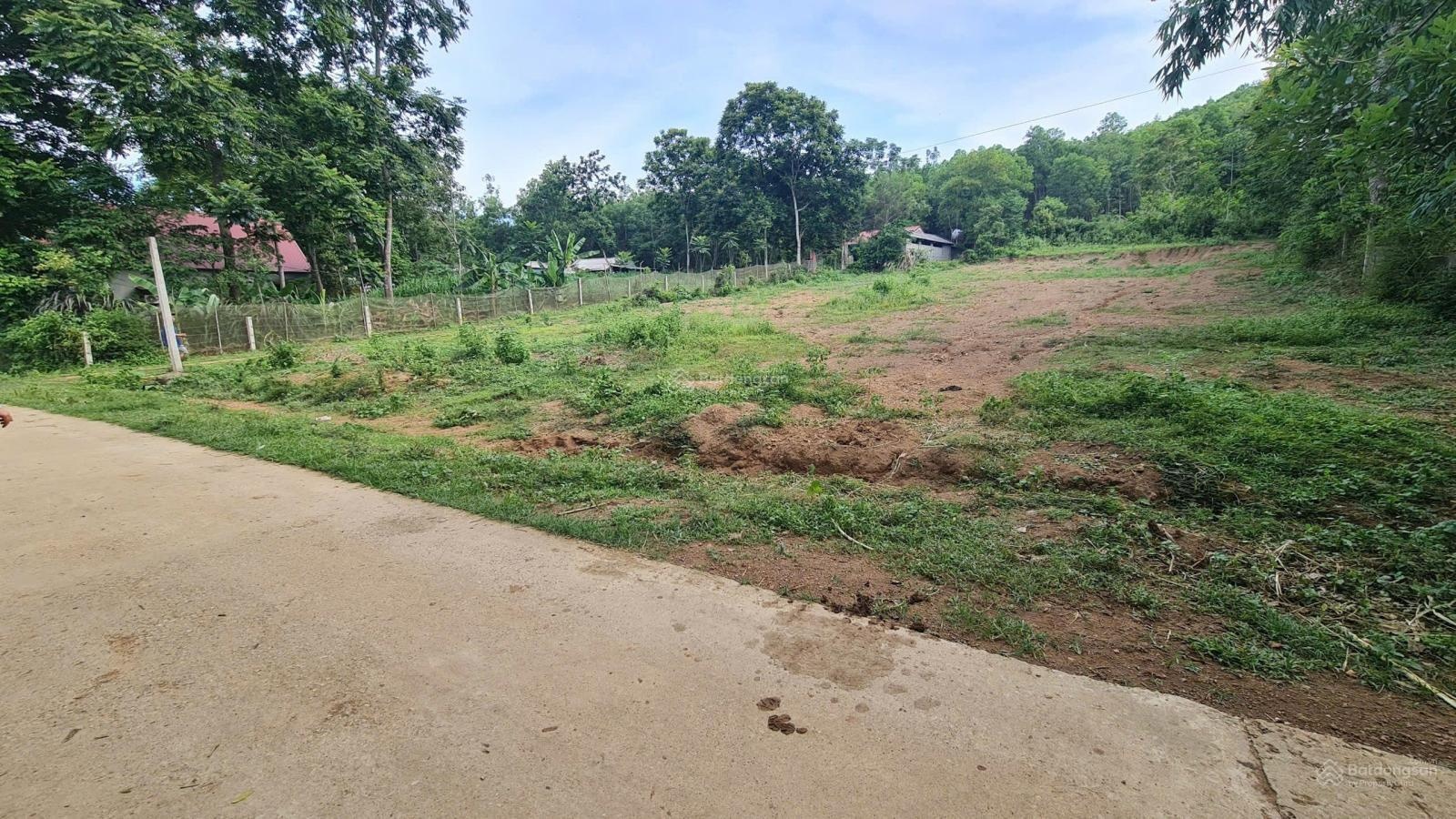 Lô đất sẵn sổ hồng 116,8m2 full thổ tại thôn 5, xã Thạch Long, huyện Thạch Thành, Thanh Hoá