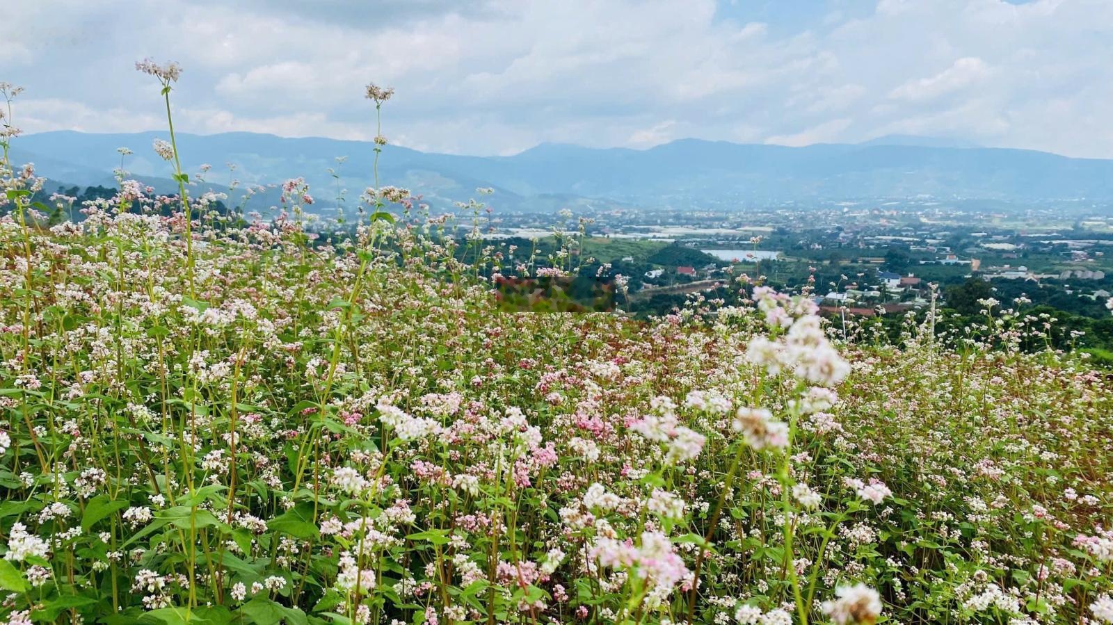 CHỈ CÒN 1 NỀN DUY NHẤT TẠI VỊ TRÍ SIÊU ĐẸP! View toàn cảnh Nam Ban thoáng mát, bao đẹp
