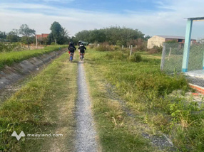 Bán nhà 2 phòng ngủ 221m2 full hồng tại Tân Bình, Tây Ninh, giá 399 triệu