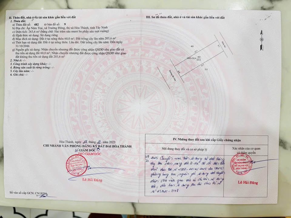 Chính chủ cần bán gấp ngôi nhà mái thái xây dựng 1 năm rưỡi, kiên cố, hiện đại với view đẹp như Đà Lạt