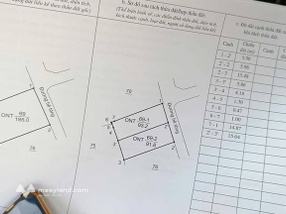 Bán lô đất tại khu phố hiện hữu văn minh, giàu có thuộc Nam Cầu, Phạm Trấn, Gia Lộc