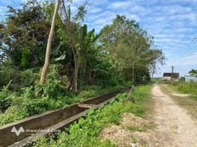 Bán nhanh trang trại tổng hợp 8000m2 tại phường Đông Quang, cách trung tâm thành phố 8km